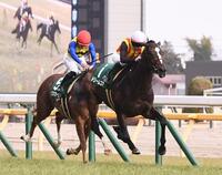 デイリー杯クイーンカップを制したドリームコア（右）＝撮影・園田高夫