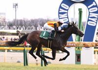 デイリー杯クイーンカップを勝利したドリームコア（撮影・園田高夫）