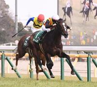 デイリー杯クイーンカップを圧勝したドリームコア（撮影・園田高夫）