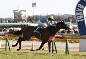 昨年のデイリー杯クイーンＣ＝勝ち馬エンブロイダリー　