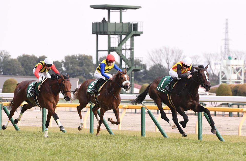 デイリー杯クイーンカップを制したドリームコア（右）＝撮影・園田高夫