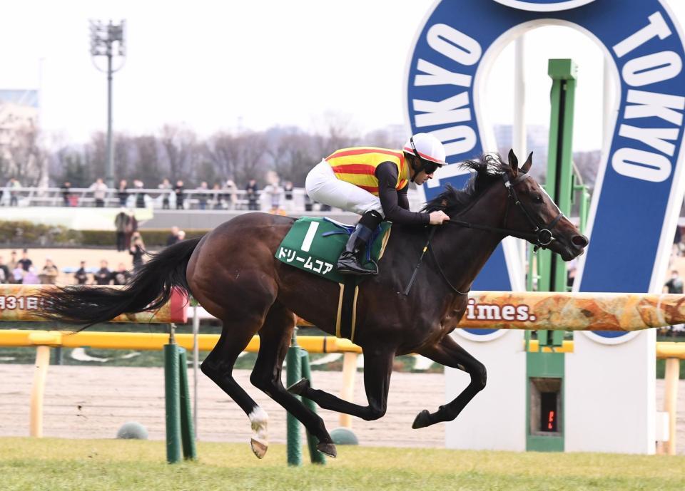 デイリー杯クイーンカップを勝利したドリームコア（撮影・園田高夫）