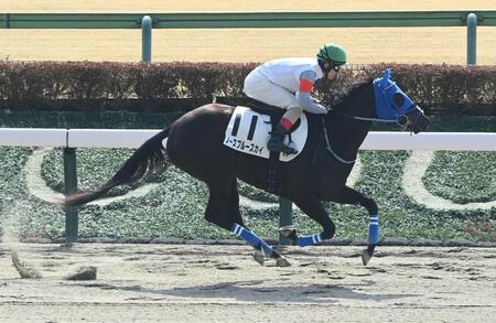 新馬戦を勝利したノーブルースカイ（撮影・園田高夫）
