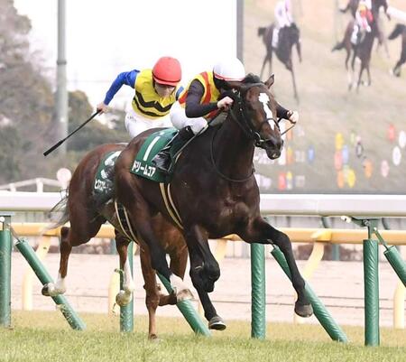 力強く抜け出したドリームコア（撮影・園田高夫）