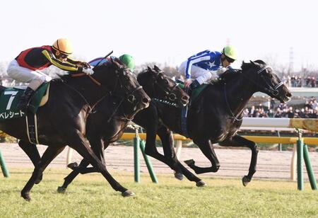 共同通信杯を制したリアライズシリウス（右）＝東京競馬場（撮影・園田高夫）