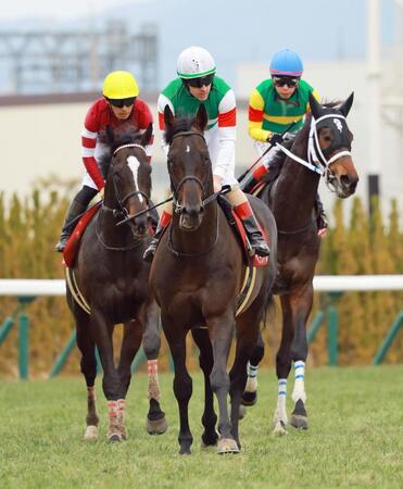 前を捉えきれなかった（左から）１万人気２着エリキング、２番人気８着ヘデントール、３番人気３着エコロディノス（撮影・石湯恒介）