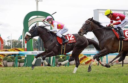 番手から抜け出したジューンテイクが引退迫る藤岡佑介に重賞をプレゼント＝撮影・石湯恒介