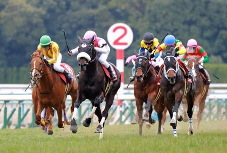 ２番手から抜け出すジューンテイク（左から２頭目）＝撮影・石湯恒介
