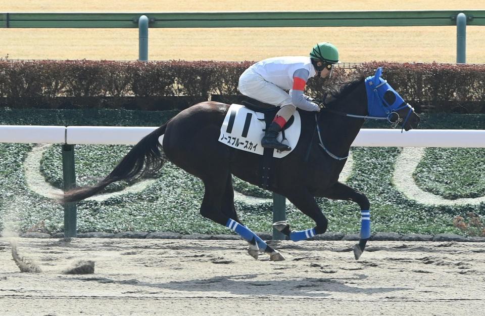 新馬戦を勝利したノーブルースカイ（撮影・園田高夫）