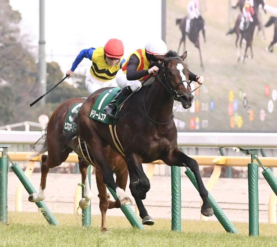 力強く抜け出したドリームコア（撮影・園田高夫）