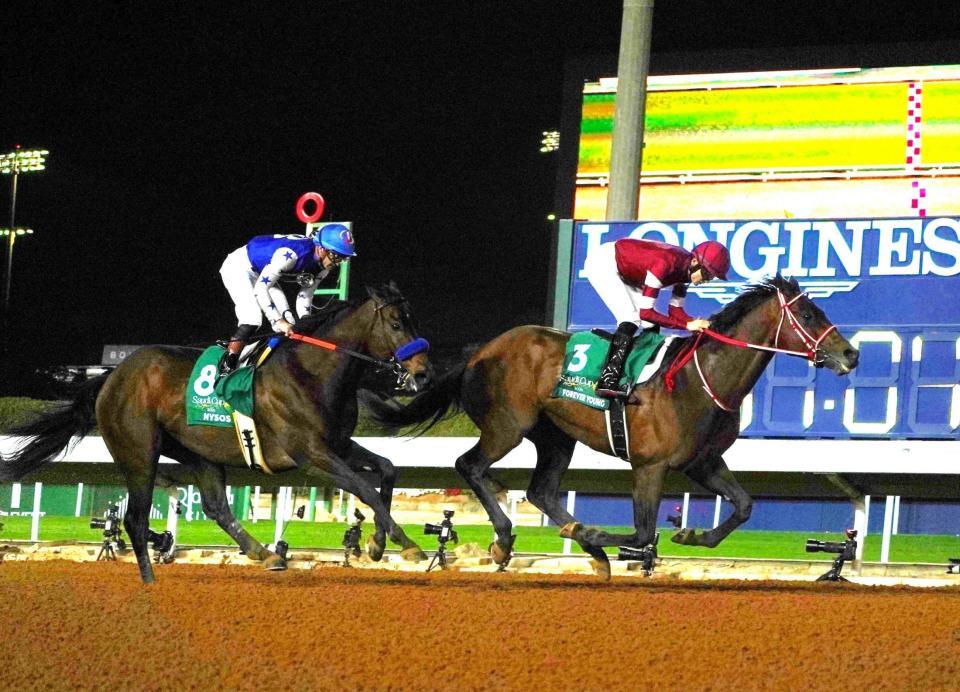 史上初のサウジＣ連覇を決めたフォーエバーヤング（右）と２着馬ナイソス（撮影・平松さとし）
