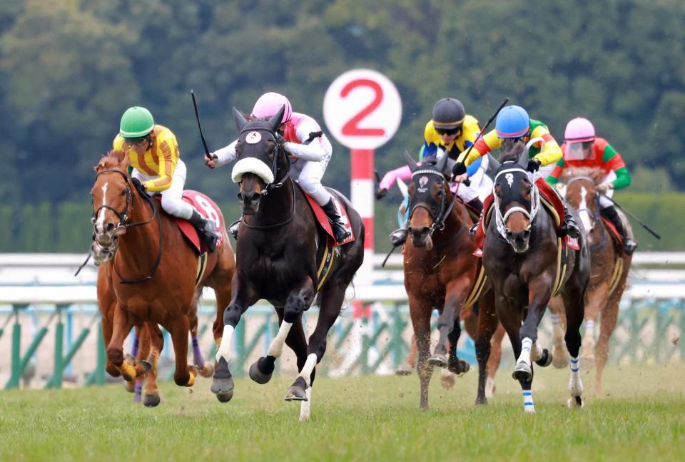 ２番手から抜け出すジューンテイク（左から２頭目）＝撮影・石湯恒介
