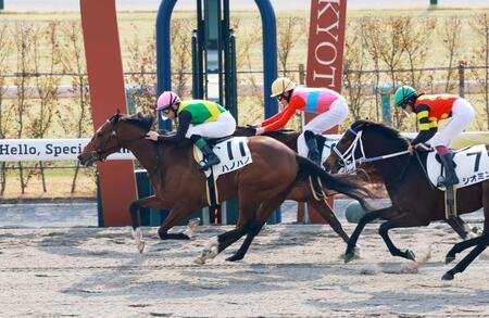 新馬戦を快勝したハノハノ（撮影・石湯恒介）