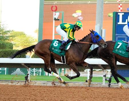 　見せ場はつくったものの５着に終わったサトノボヤージュ（撮影・平松さとし）