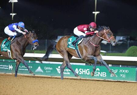 　ナイソス（左）と競り合うフォーエバーヤング（右）（共同）