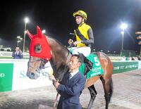 　モレイラとのコンビで臨んだルクソールカフェは５着（撮影・平松さとし）