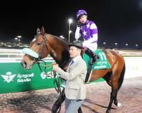 　初の海外挑戦は６着に終わったサンライズジパング