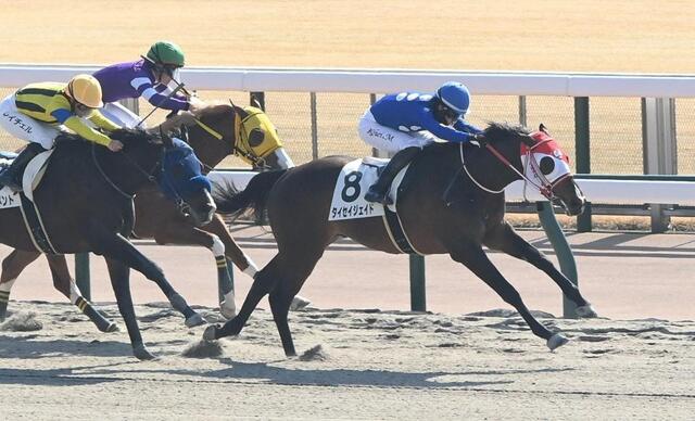 　新馬戦を勝利したタイセイジェイド（右）＝撮影・園田高夫