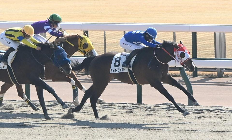　新馬戦を勝利したタイセイジェイド（右）＝撮影・園田高夫