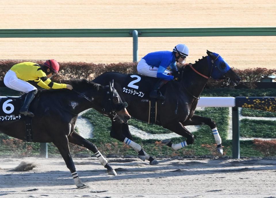 　バレンタインステークスを制したウェットシーズン（右）＝撮影・園田高夫