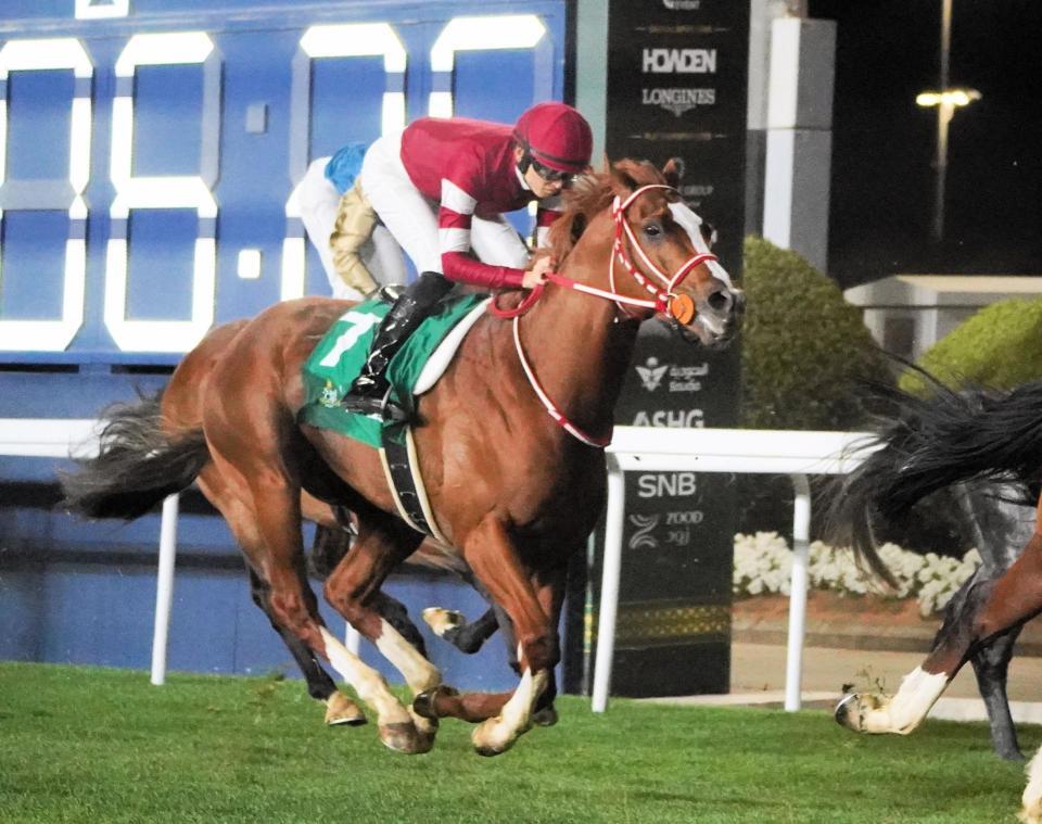 　４着に終わり連覇を逃したシンエンペラー（撮影・平松さとし）