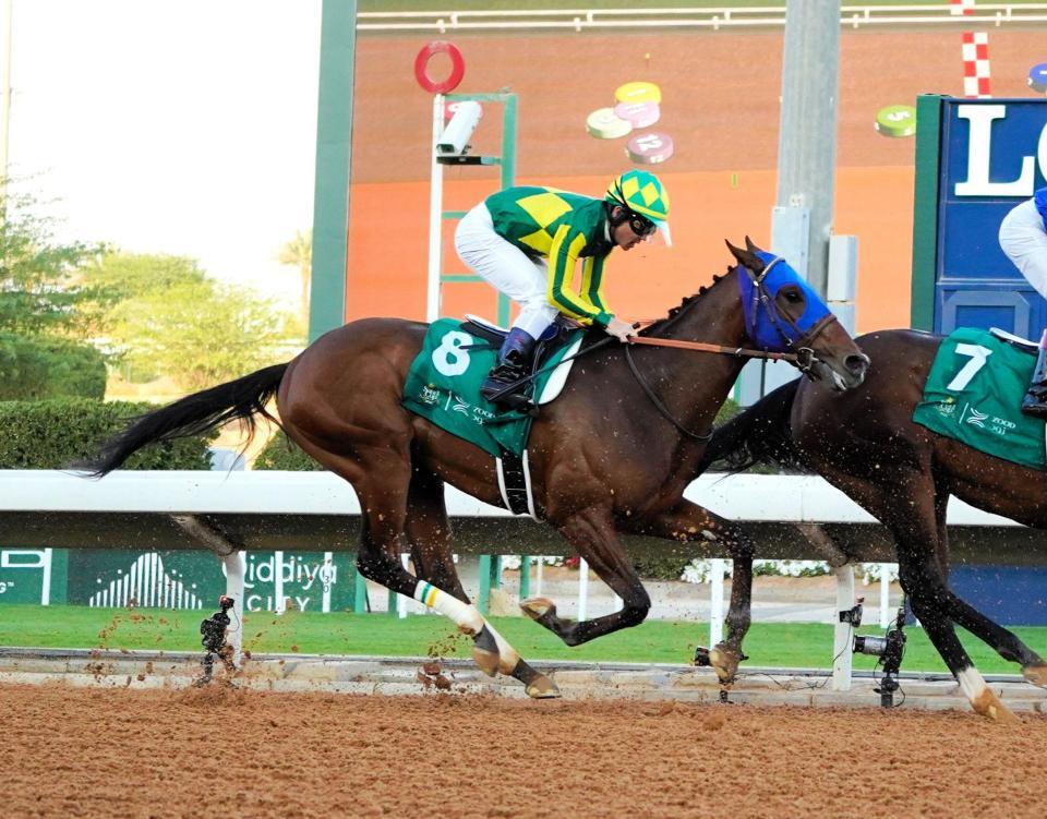 　見せ場はつくったものの５着に終わったサトノボヤージュ（撮影・平松さとし）