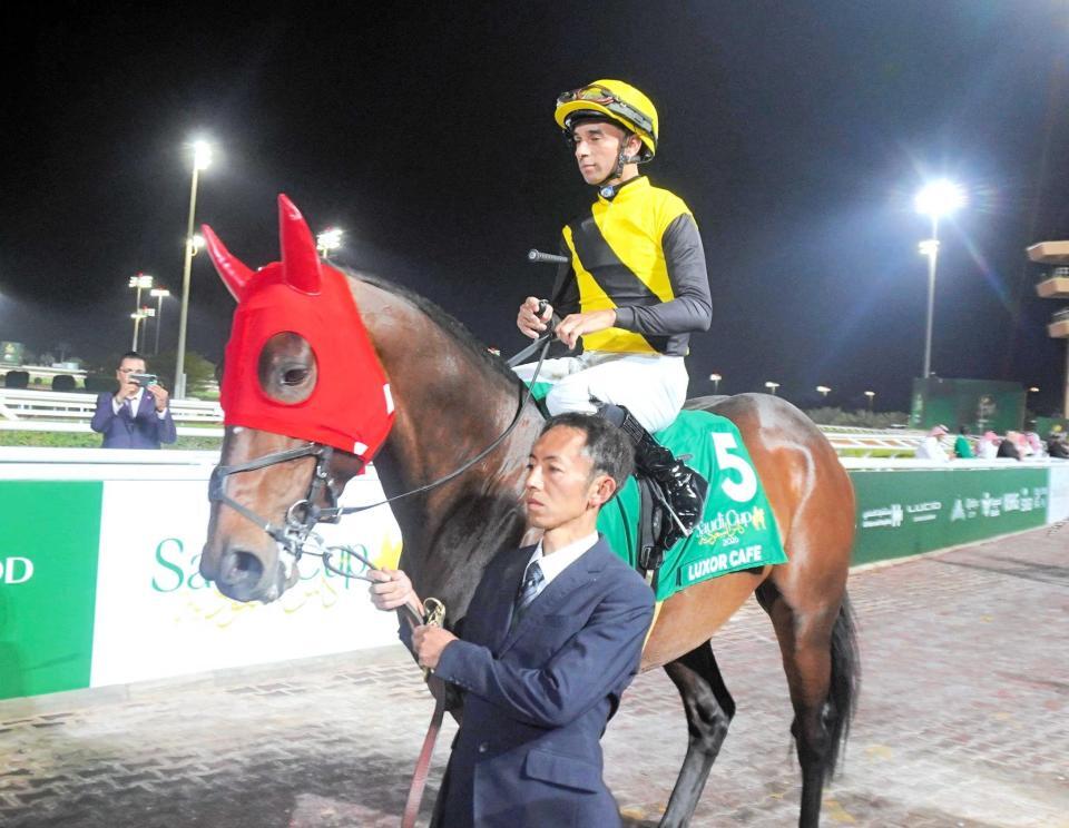 　モレイラとのコンビで臨んだルクソールカフェは５着（撮影・平松さとし）