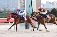 雲取賞を制したリアライズグリント（左）