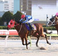 雲取賞を制したリアライズグリントと坂井瑠星騎手＝大井競馬場