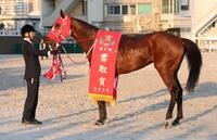 雲取賞を制したリアライズグリント＝大井競馬場