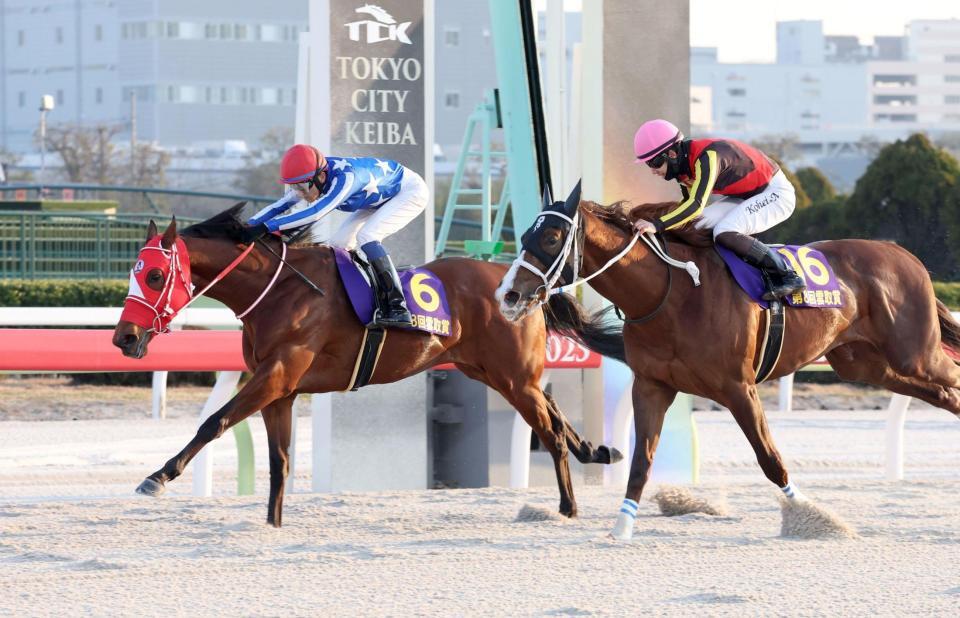 雲取賞を制したリアライズグリント（左）
