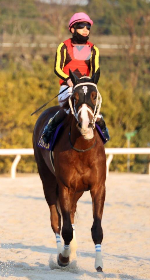 首差２着に敗れたトリグラフヒルと松山