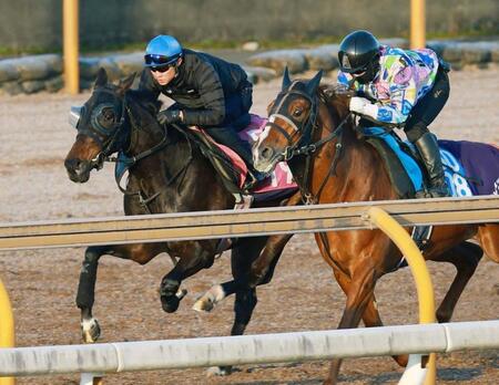 武豊を背に栗東ＣＷで追い切るアランカール（左）＝撮影・石湯恒介