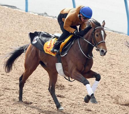 　軽快な走りを見せたホーエリート