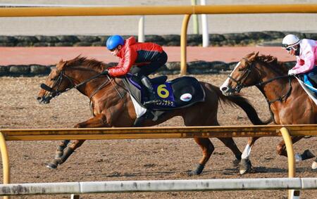 フェブラリーＳから適用　レーティングによる選定枠拡大の真意とは　ＪＲＡのハンデキャッパーを直撃