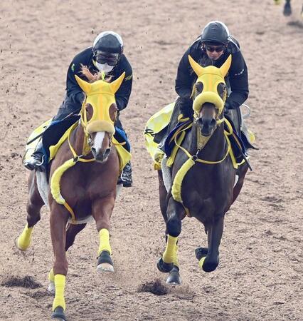 　迫力のある走りを見せたウィルソンテソーロ（右）