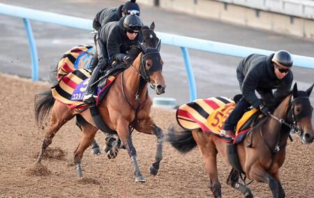 　３頭併せで好仕上がりをアピールしたコスタノヴァ（左）＝撮影・園田高夫
