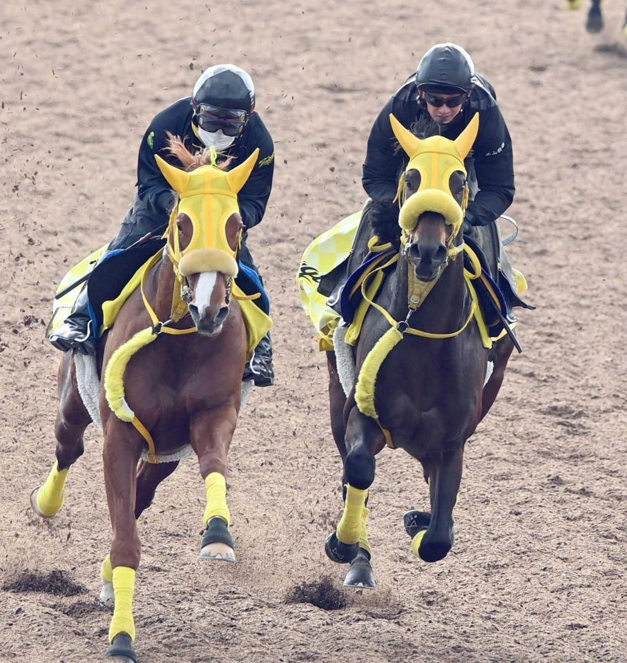　迫力のある走りを見せたウィルソンテソーロ（右）