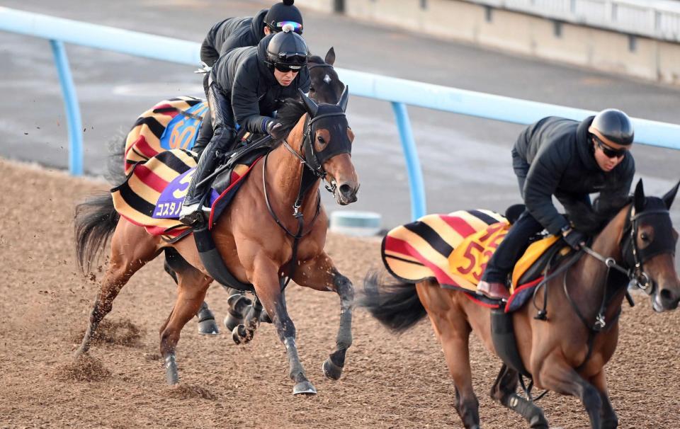 　３頭併せで好仕上がりをアピールしたコスタノヴァ（左）＝撮影・園田高夫