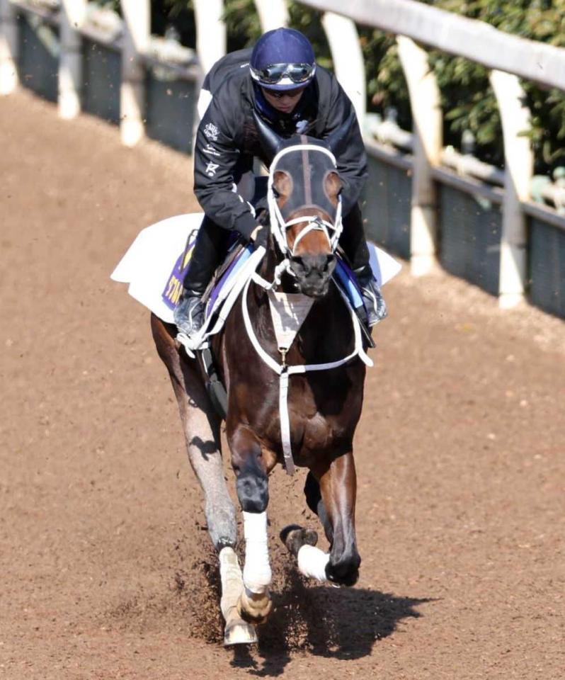 　Ｇ１連勝へ向けて好ムードを漂わせるダブルハートボンド（撮影・中田匡峻）
