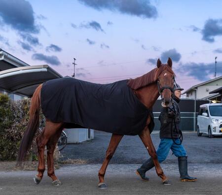 　カメラ目線でヤル気を伝えるサイモンザナドゥ（撮影・石湯恒介）