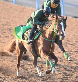 　イッテラッシャイ