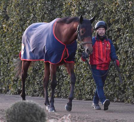 　連覇へ向けてトーンが上がってきたコスタノヴァ
