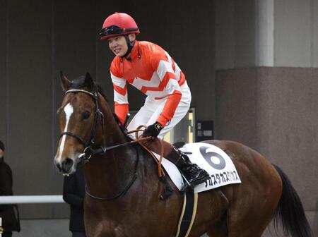 ２着に敗れたタカスタカスタカス