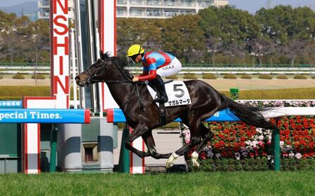 初勝利を飾ったサガルマータ（撮影・石湯恒介）