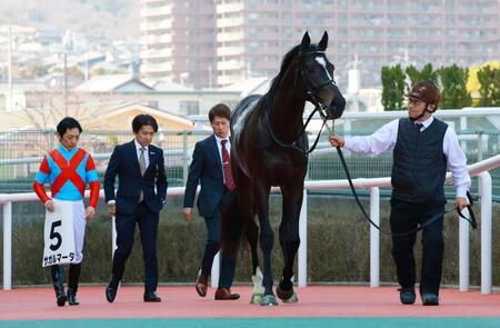 未勝利戦を勝ち上がったサガルマータ（撮影・石湯恒介）