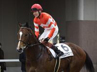 ２着に敗れたタカスタカスタカス