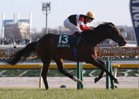 ダイヤモンドＳを勝利したスティンガーグラス