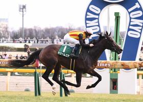 デイリー杯クイーンＣを制したドリームコア