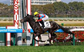 初勝利を飾ったサガルマータ（撮影・石湯恒介）